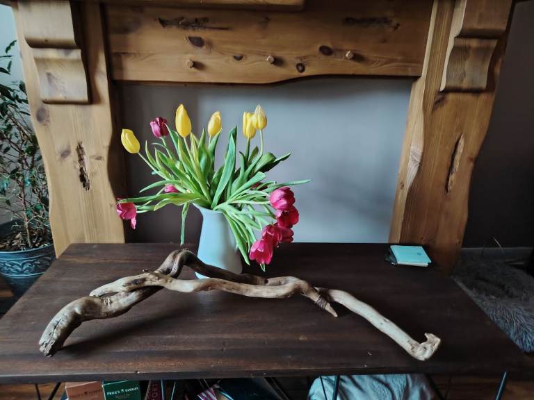 Driftwood sculpture 