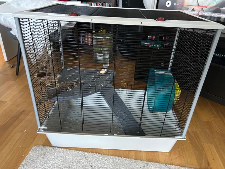 Hamster cage 