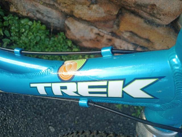 【Kidsバイク】TREK（トレック） mt60 20インチ【お引き取り希望】 Trek MT60 Girls Hard Tail Light Weight 20-inch Kids Mountain Bike