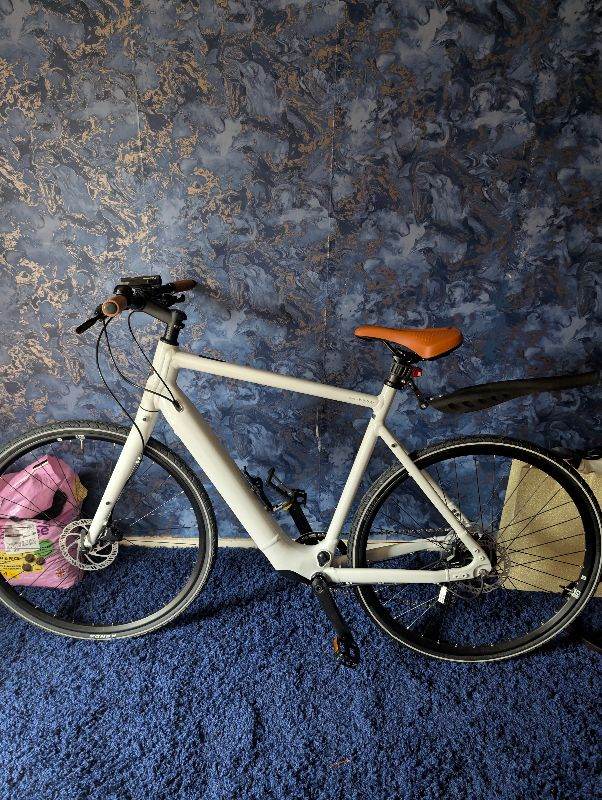 Electric e bike momentum by giant 