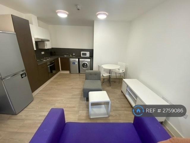 2 bedroom flat in Neuadd Y Castell, Bangor, LL57 (2 bed) (#2759086)