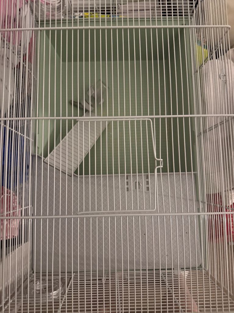 hamster cage for sale 