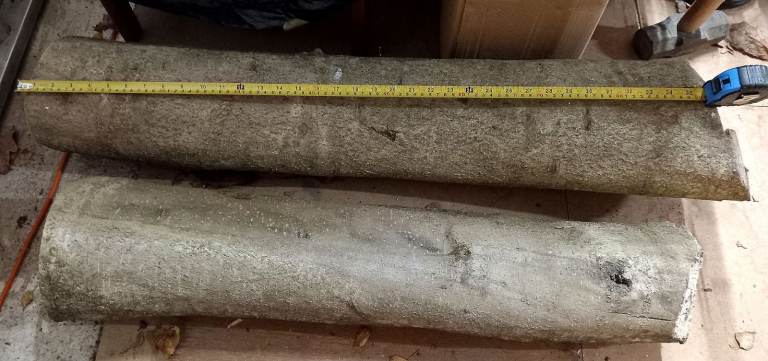 Hardwood Holly timber