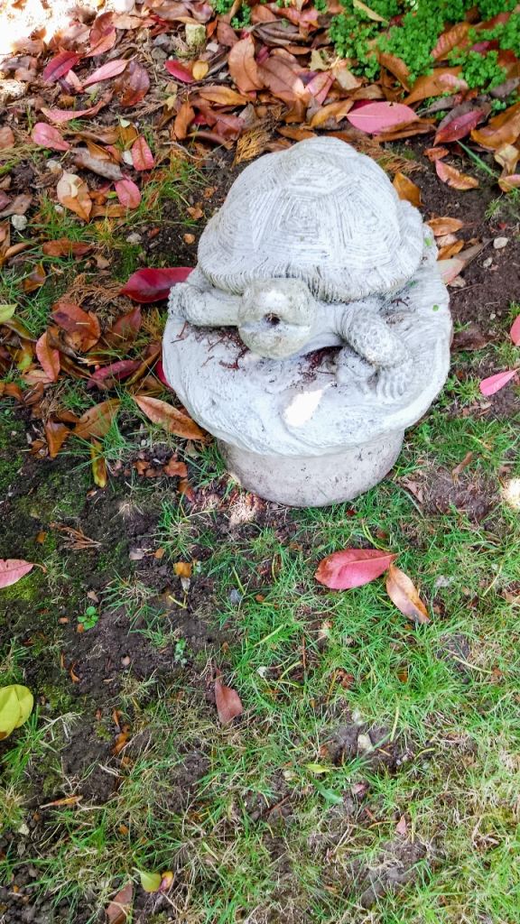 Water feature tortoise 🐢REDUCED 