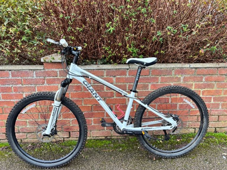 Giant mountain bike