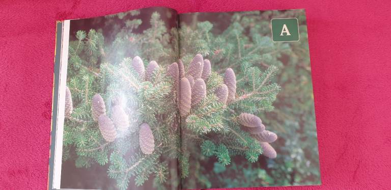 For all plant lovers - a mighty tome and CD full of information.