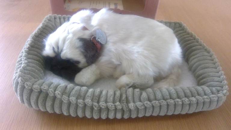 New from our Stock of Realistic Precious Petzzzz Pug Plush Toy with Movement of Breathing