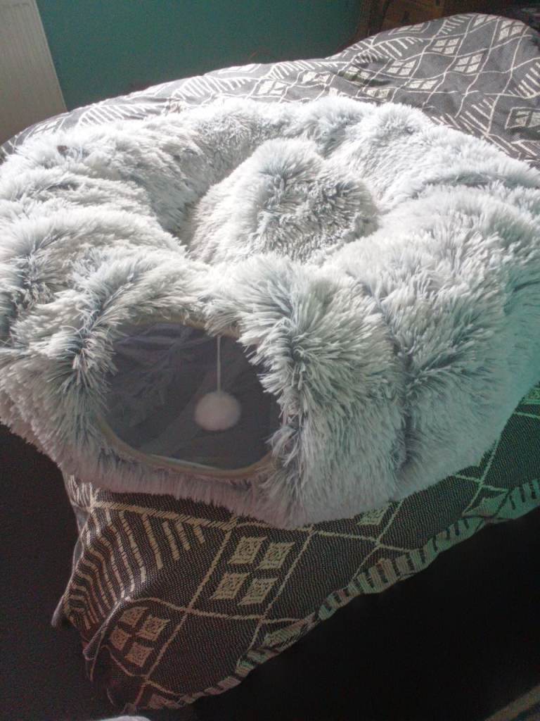 Cat bed