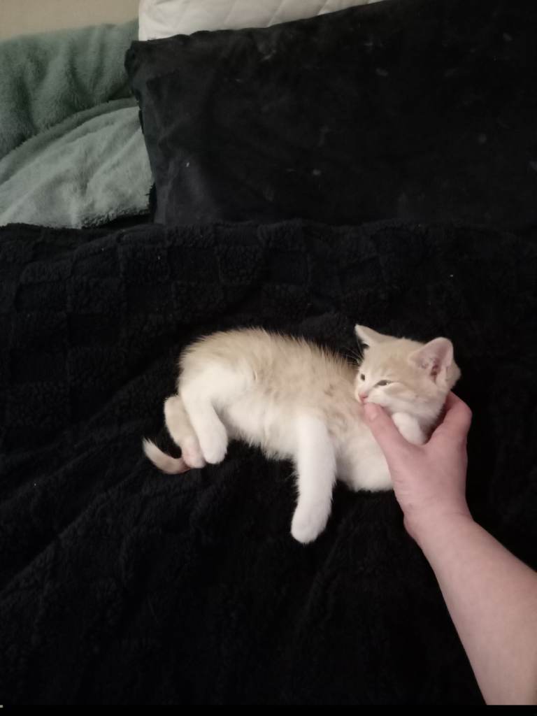 My boy