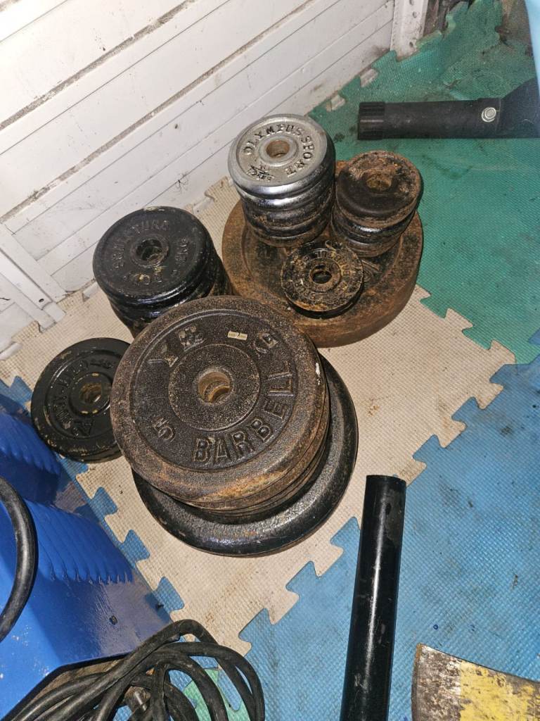 Mixed Barbell and Dumbbell Weight Plates - Cast Iron Gym Weights