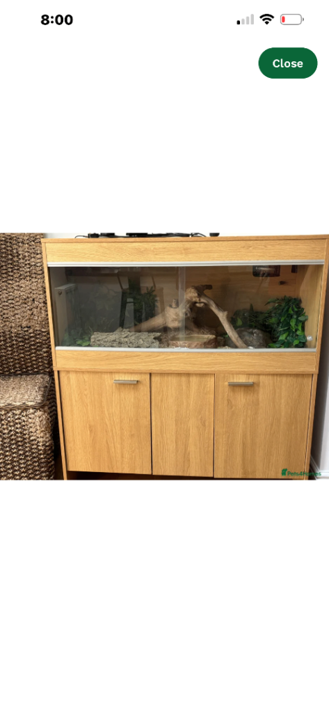 Vivarium 