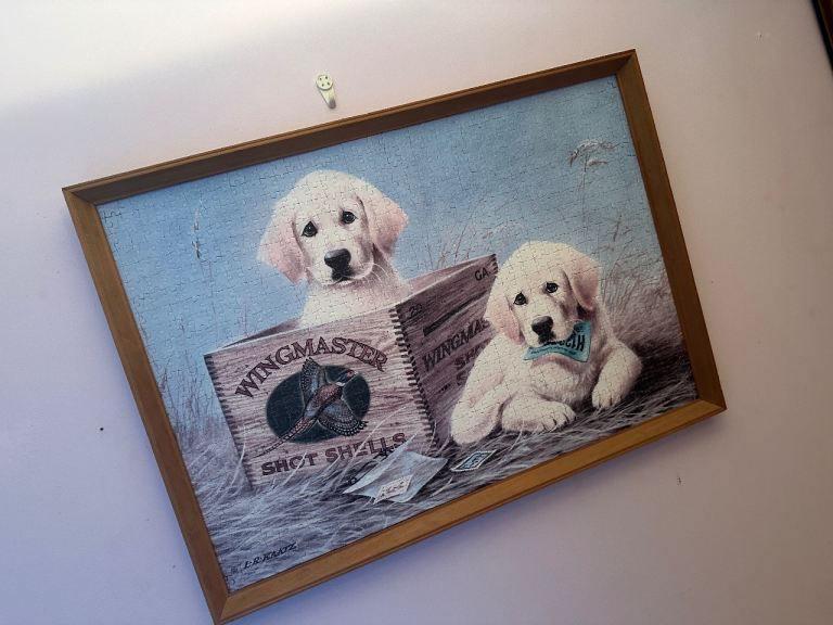 Large Dog Puzzle Picture  28 inches wide, 20 inches height Collection - Ballymena