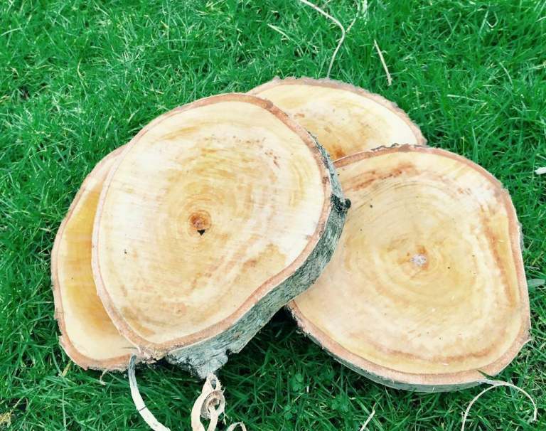 Log slices rustic natural cake stand diy wedding centre pieces 