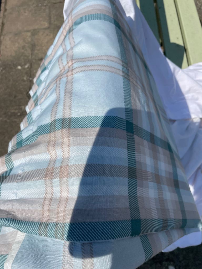 Blue checked curtains