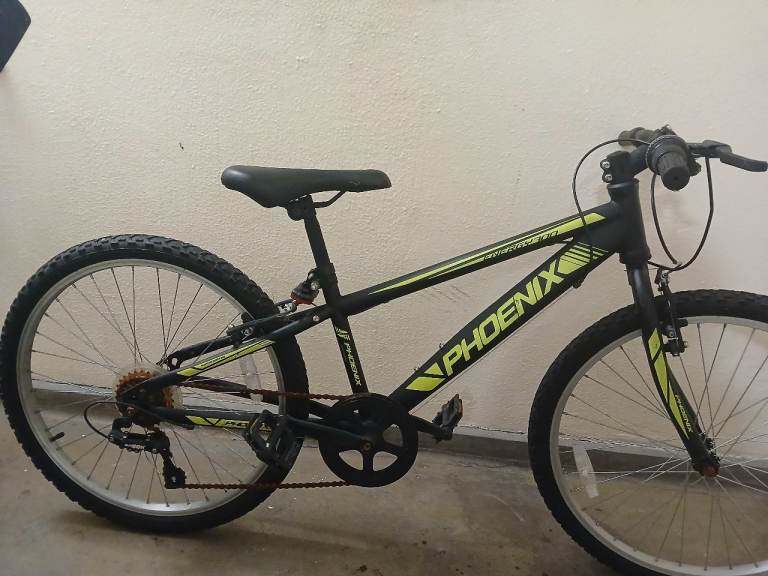Phoenix Bike