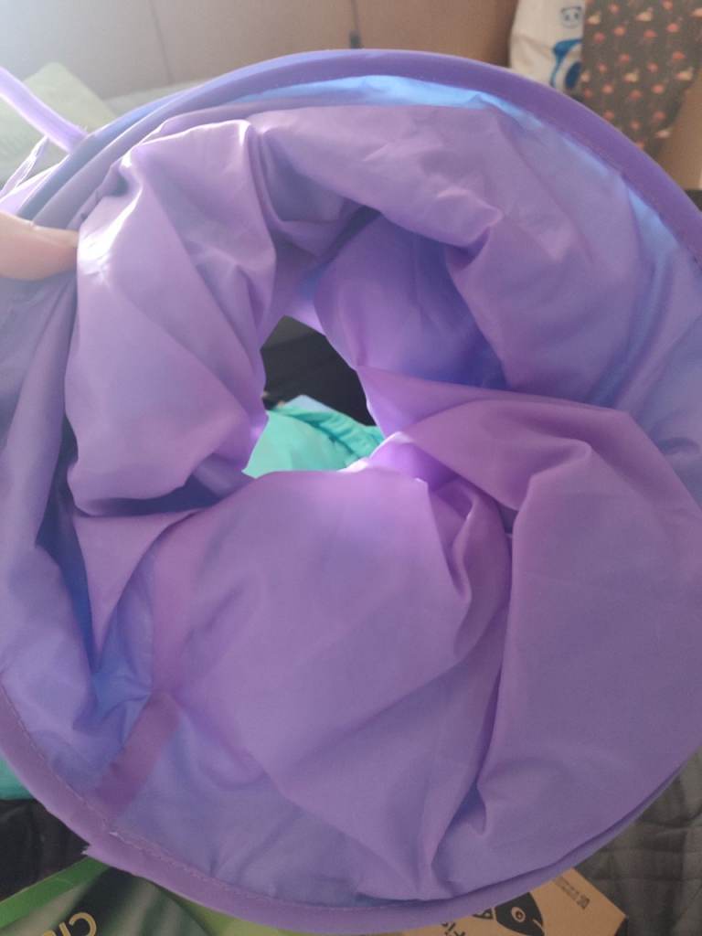 FREE foldable cat tunnel