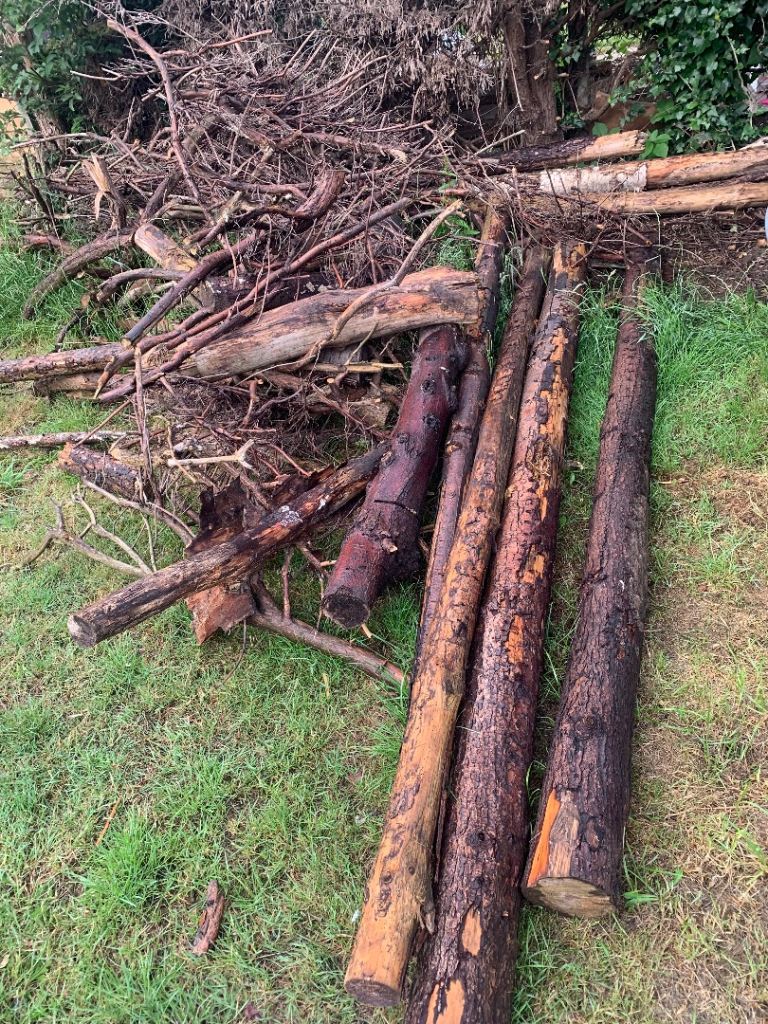 Fire wood. Garden Wood Logs and Branches - Mixed Sizes