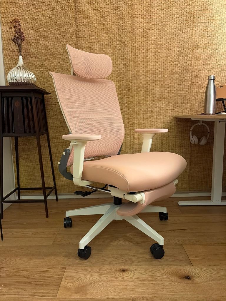 Flexispot Foldex office chair