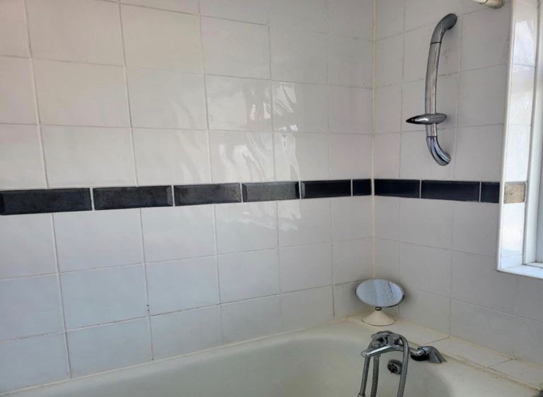 1 bed flat Ellesmere rd nw10