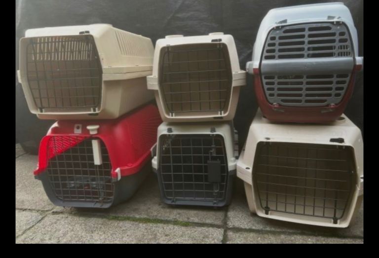 Cat carriers