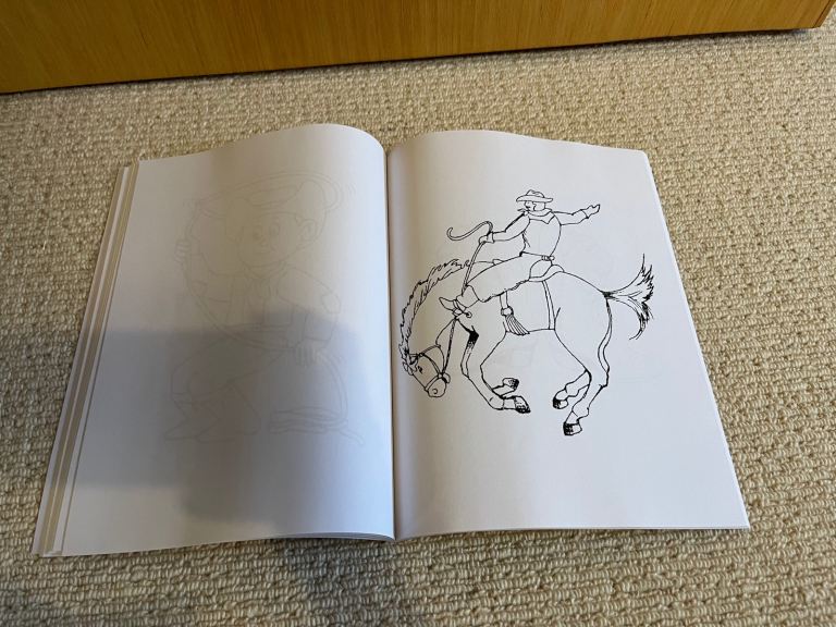 Adult Colouring Book - The Wild West