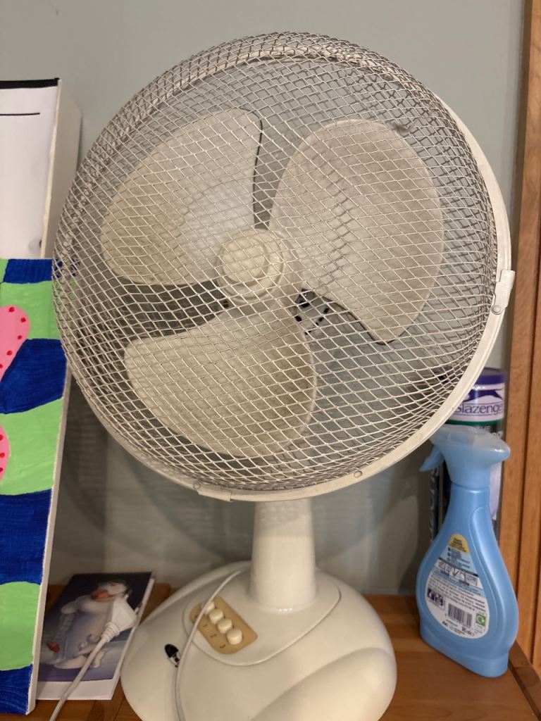 White plug in Fan 