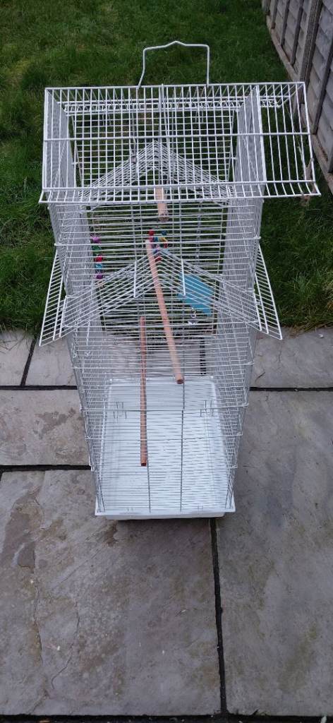 Bird cage 
