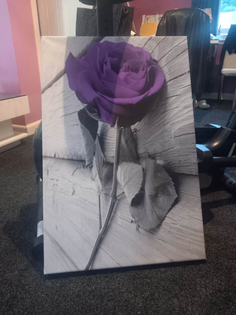 Large Purple Rose Canvas Wall Art – Good Condition