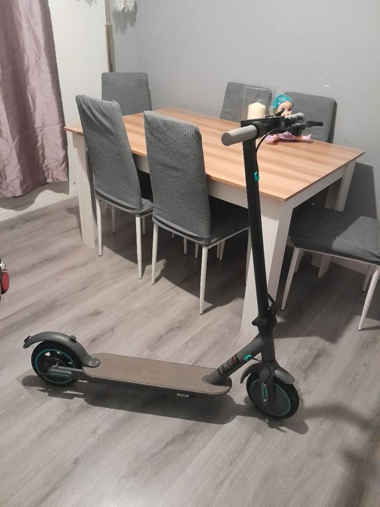 Adults electric scooter