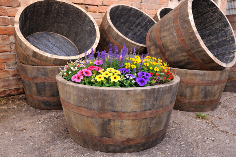 LARGE OAK HALF WHISKY BARREL GARDEN PLANTER POT TUB FOR PLANTS TREES FLOWERS DELIVERY AVAILABLE