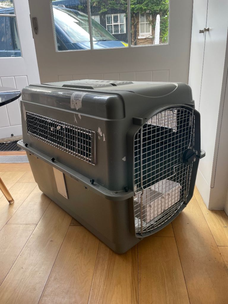 International pet carrier 