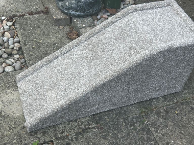 Dog ramp 