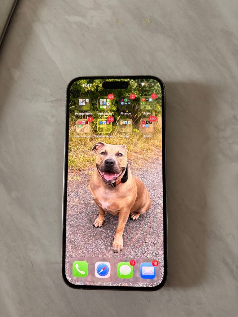 iPhone 14 Pro Max 