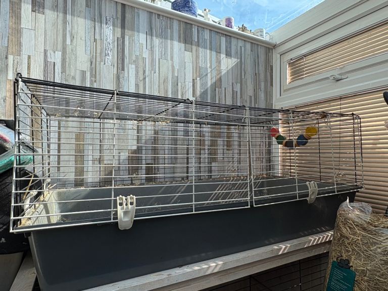 Guineapig indoor cage 