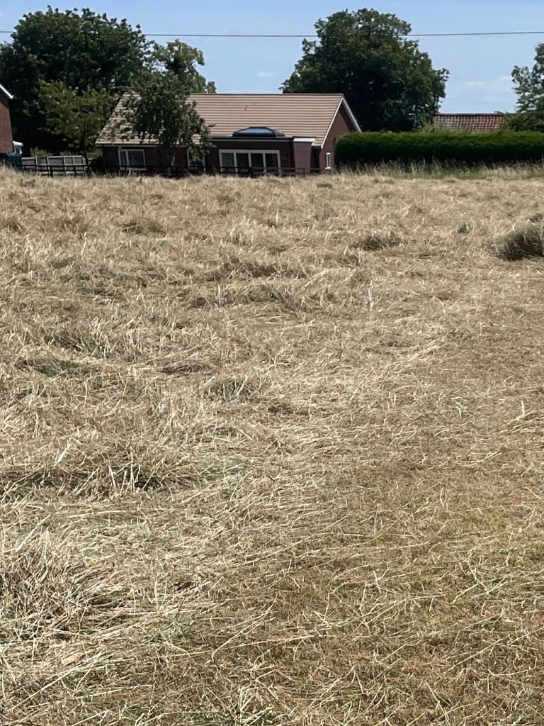 Large hay bales-solve your winter feed problem in one go! 