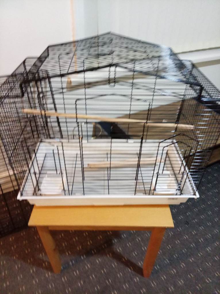 Birde cadge 
