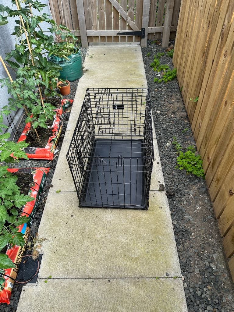 Kong Medium 2 Door Dog Crate