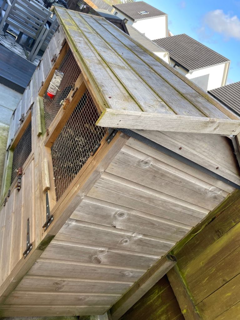 Solid rabbit hutch 