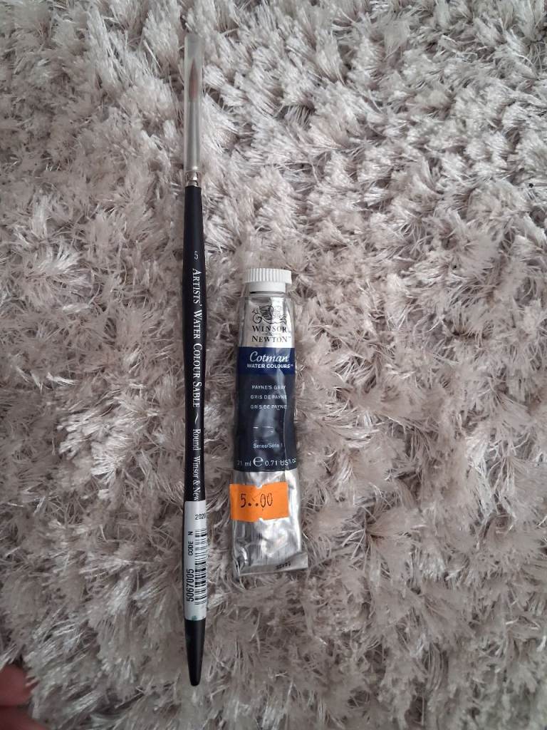 05 watercolour sable round new unused winsor and newton paint brush and various paints