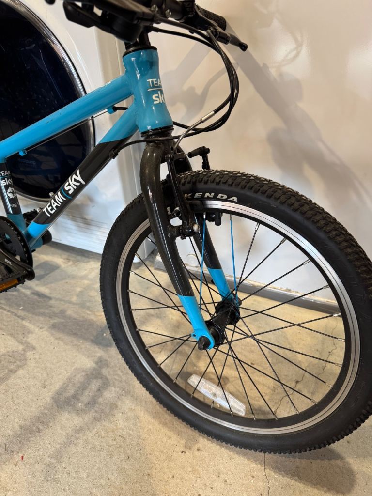 Frog 52 Team Sky Bike