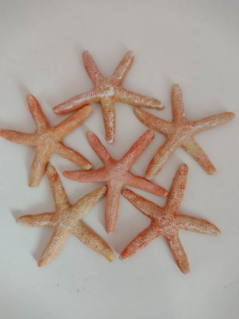 As New! Ideal for Crafts, Display or a Fish Tank. Five Resin Starfish, see the photos/details below!