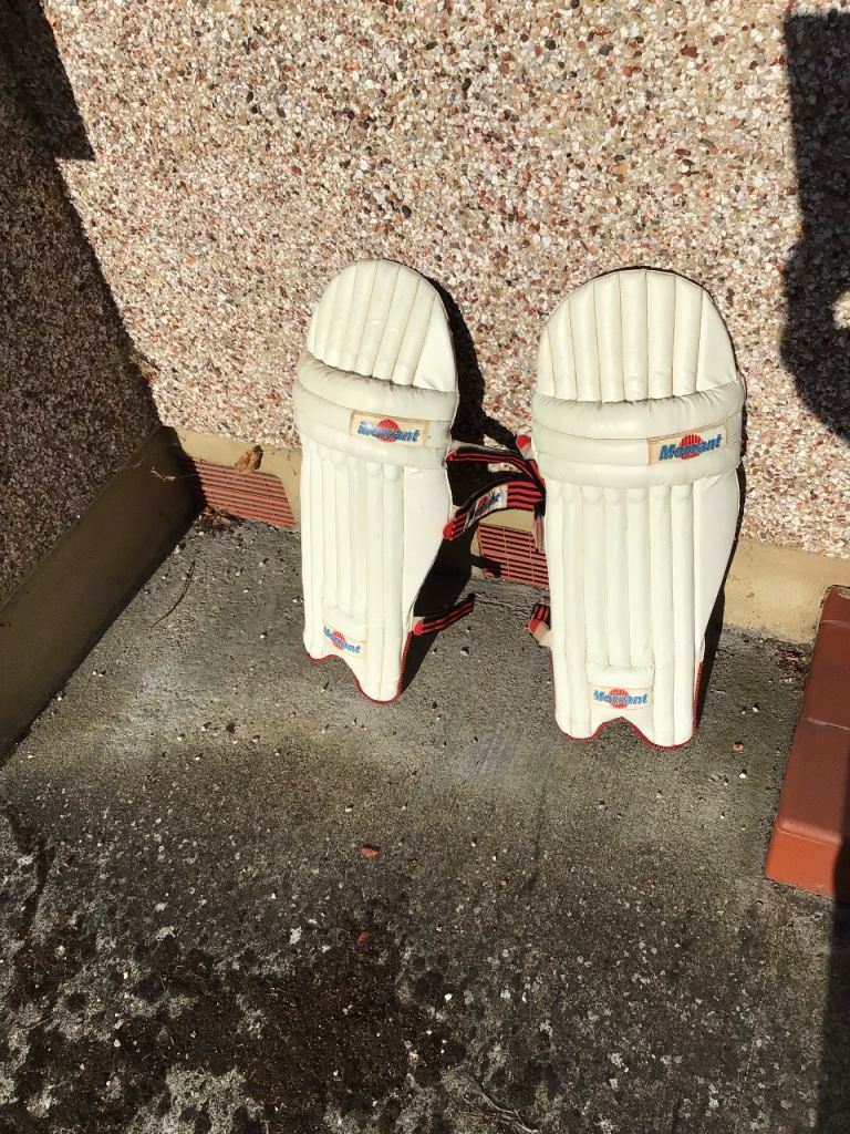Mens cricket pads