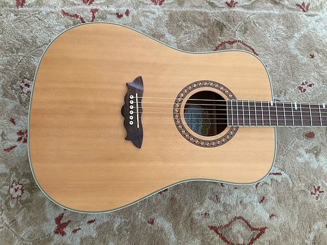 2004 Washburn WD32S acoustic, with new gig bag