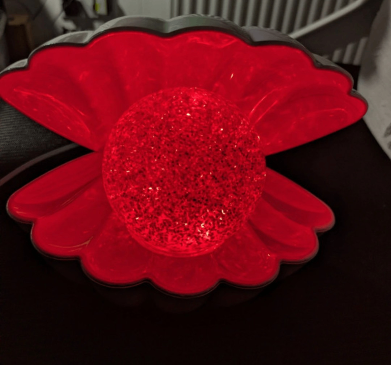 Decorative shell glitter light 