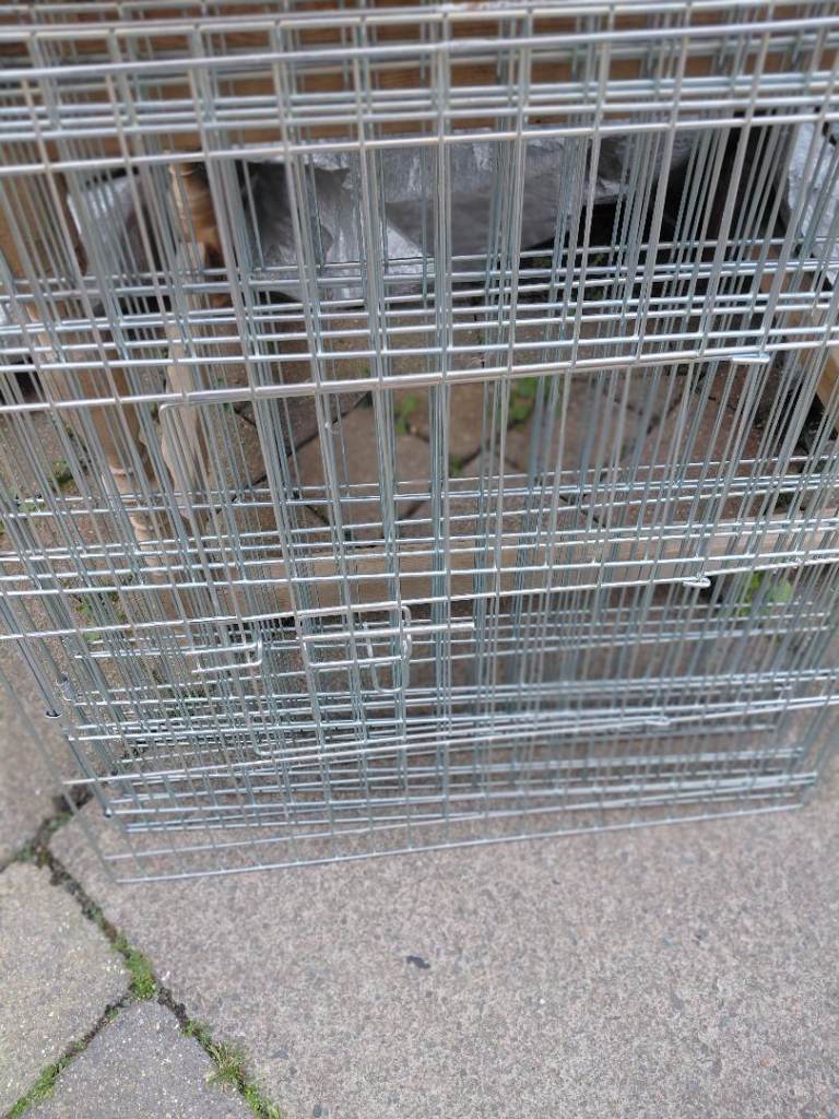 Puppy pen