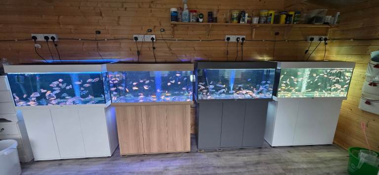 Fish tanks
