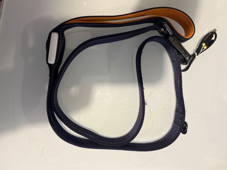 Light up lead