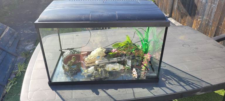 Fish tank for sale
