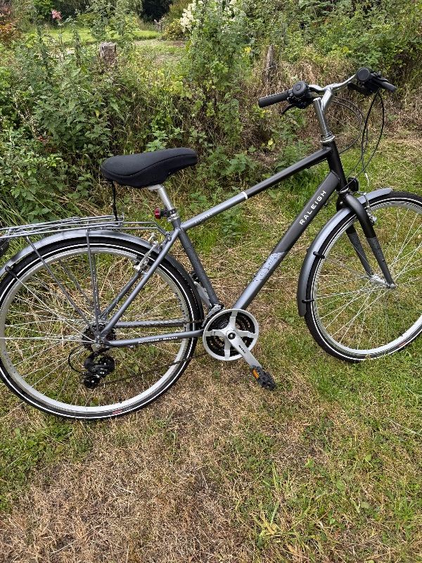 Raleigh pioneer 