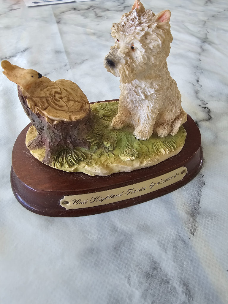 Leonardo West Highland Terrier 